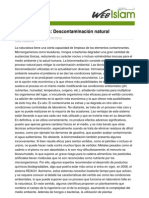 biorremedación articulopdf