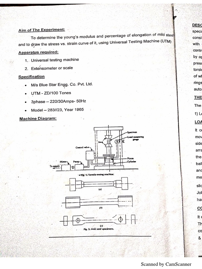 Youngs Modulus | PDF
