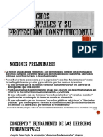 Los Derechos Fundamentales y Su Protección Constitucional.comp