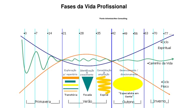 Fases da Vida Profissional e Ciclos | PDF
