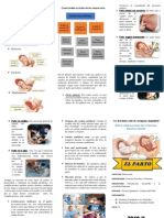 Triptico Del Parto