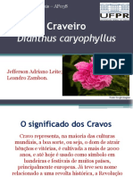 Cópia de Cravo