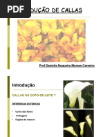 Dicionario Portugues Polaco | PDF