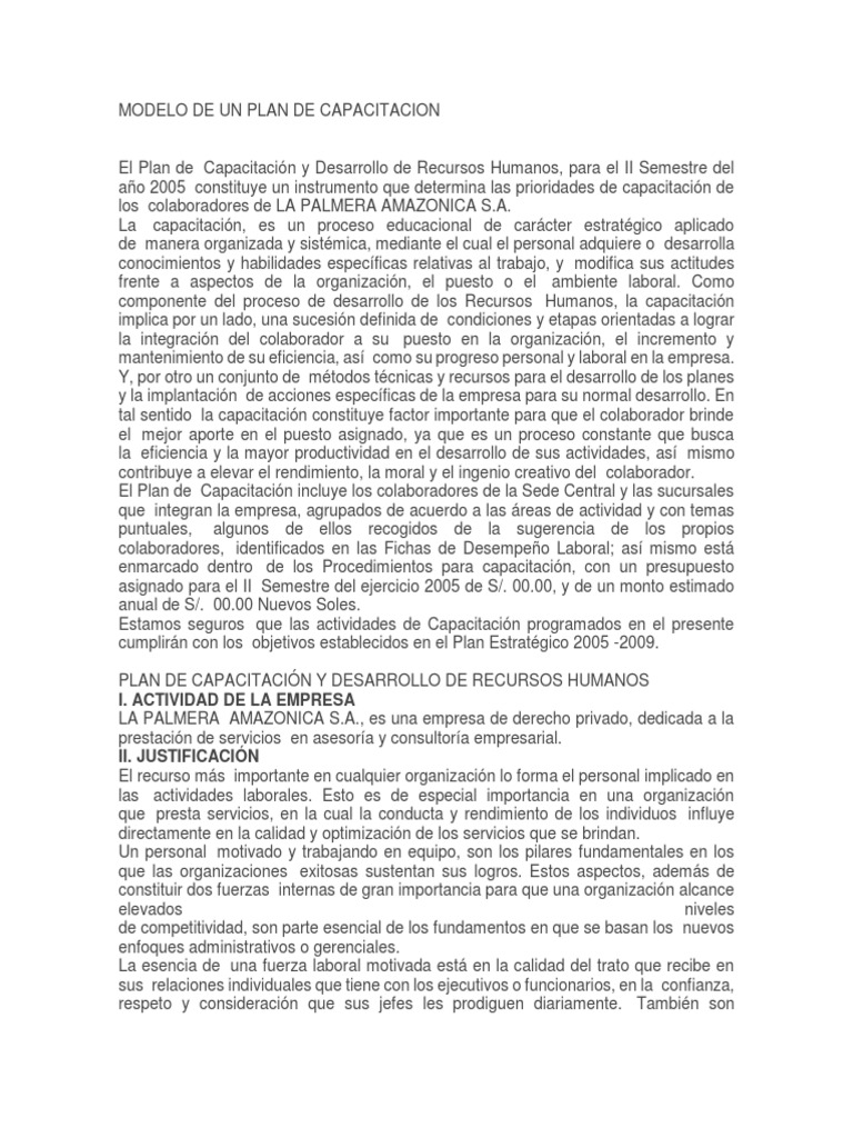 Plan de Capacitación 2005: Recursos Humanos | PDF | Planificación ...