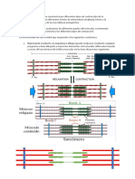 Ud1 Fisiologia