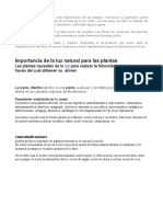 Importancia de La Luz Natural para Las Plantas