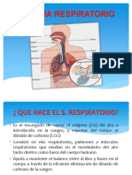 Sistema Respiratorio Eposicion