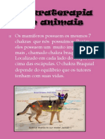 Chakras em Pets PDF