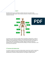 Documento Sistema Oseo