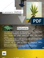 Marijuana and Treatment of Drug Addiction in the Philippines - Nathaniel Dela Cruz