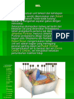 powerpoint SEL-1.ppt