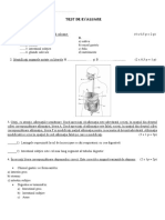 Test Digestie 6