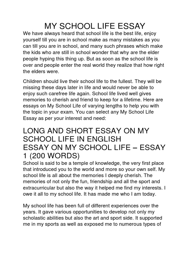 short essay on school life