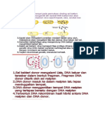 Biologi