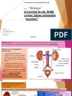 Sistemul Excretor