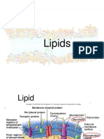 1 Lipids
