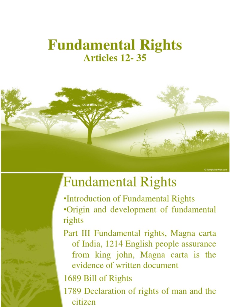 Overview of Fundamental Rights in India | PDF | Judicial Review ...