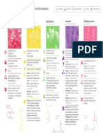 ebook-5-aceites-esenciales.pdf