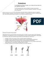 Partes de La Flor