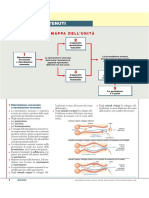 Sintesi Riproduzione