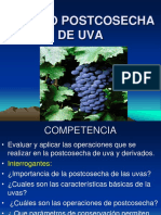 Manejo Postcosecha de Uva