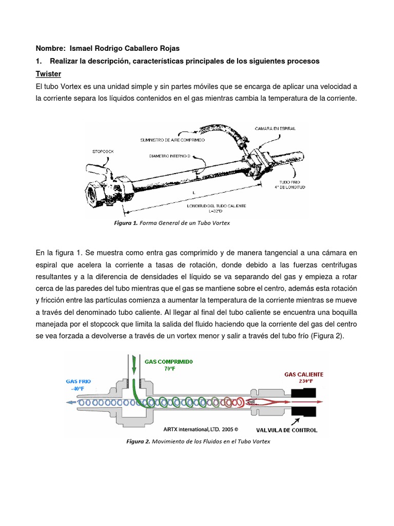 Vortex y Twister | PDF | Fluido | Gases