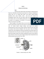 Bab 2 Tinjauan Pustaka Semkas CKD