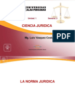 2. La Norma Juridica