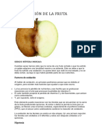 La Oxidación de La Fruta