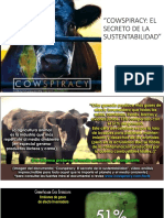 Cows Piracy