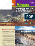 Cartilla-MegamineriaOro02 2 PDF