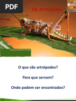 Capítulo 16 - Os Atropodes - 7º Ano - Barros e Paulino