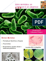 Bactérias e as Arqueas