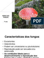 Fungos e Doenças