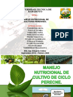 Fertilizacion Manejo Nutricional Perecne