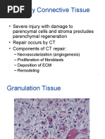 Pathology, Chapter 3, Inflammation (slides)  Chemokine  Inflammation