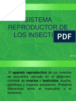 Sistema ReProductOr de Los Insectos