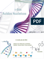 2-Estrutura Do DNA