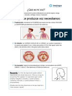 MANUAL Para El Niño-VOZ