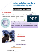 Consecuencias.pptx