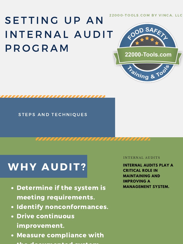 Internal Audit Program Setup Guide | PDF | Internal Audit | Auditor's ...