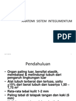 PPT