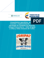Lineamientos - UAIC - Preliminar PDF