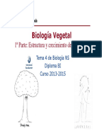 GTP_T 4.Biología Vegetal (1ªParte_Estructura y Crecimiento de Las Plantas) 2013-15