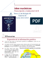 GTP - T11. Ácidos Nucleicos (3 Y4 Parte - Transcripción y Traducción) 2013-15