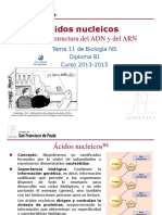 GTP - T11 .Ácidos Nucleicos (1 Parte - Estructura) 2013-15