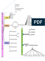 Diagrama de Árbol - Tejido Conjuntivo