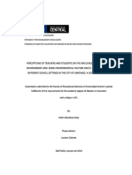 PERCEPTIONS OF TEACHERS AND STUDENTS ON THE INFLUENCE OF THE PHYSICAL ENVIRONMENT AND  SOME ENVIRONMENTAL FACTORS ON EFL LEARNING IN TWO DIFFERENT SCHOOL SETTINGS IN THE CITY OF SANTIAGO: A DOUBLE CASE STUDY