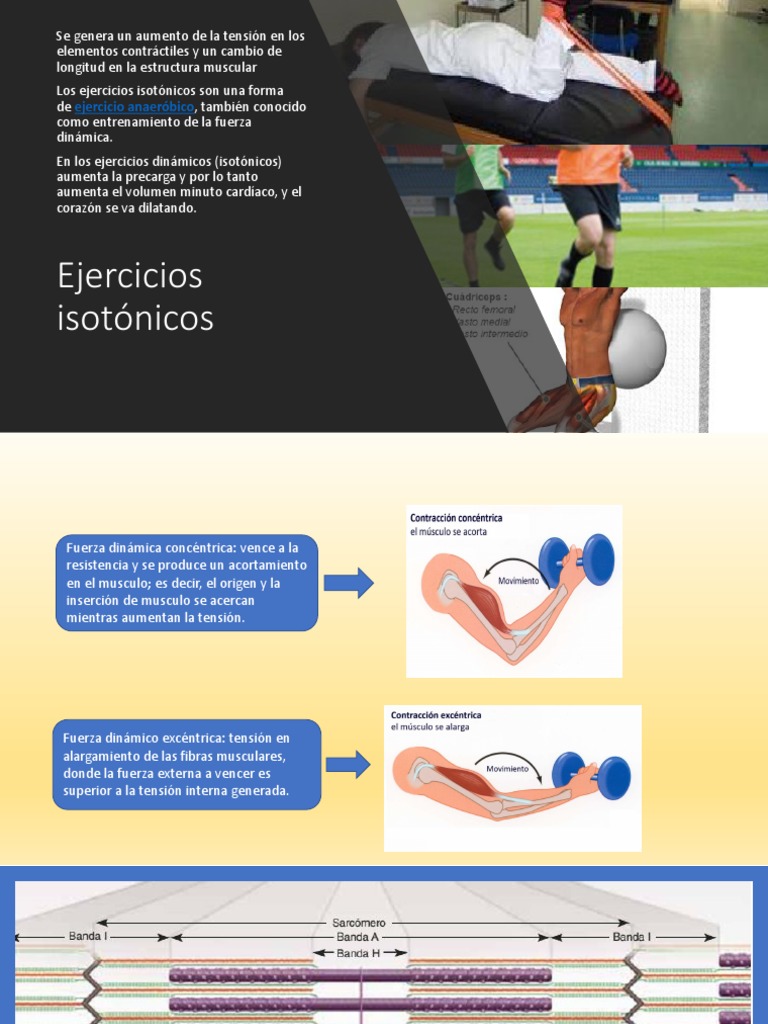 ejercicios-isot-nicos-beneficios-y-m-todos-pdf-contracci-n