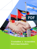 Brochure Tratado Sy Acuerdo Sinter Nacionales